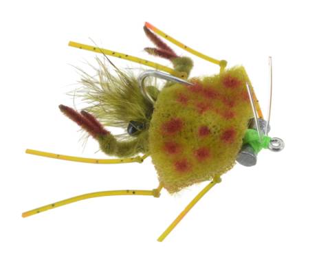 Palometa Crab - Olive